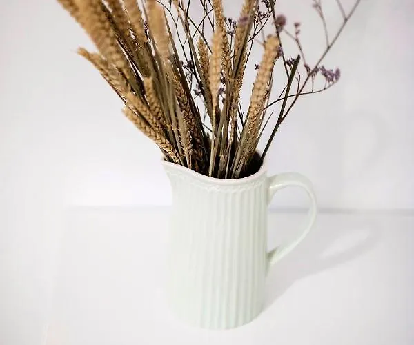 Basque Δωμάτια σε οικογενειακή κατοικία *